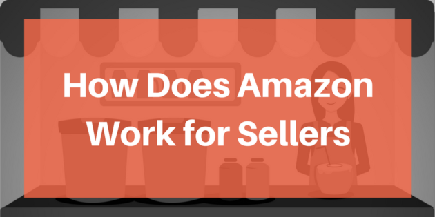 How Does Amazon Work for Sellers